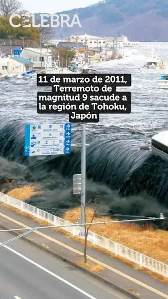 Tōhoku, Japón · 11 de marzo · Magnitud 9,0–9,1